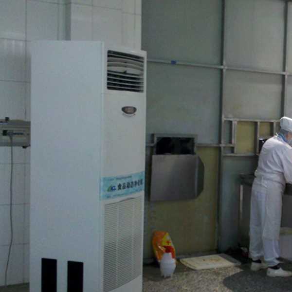 泸州食品正负离子空气杀菌器